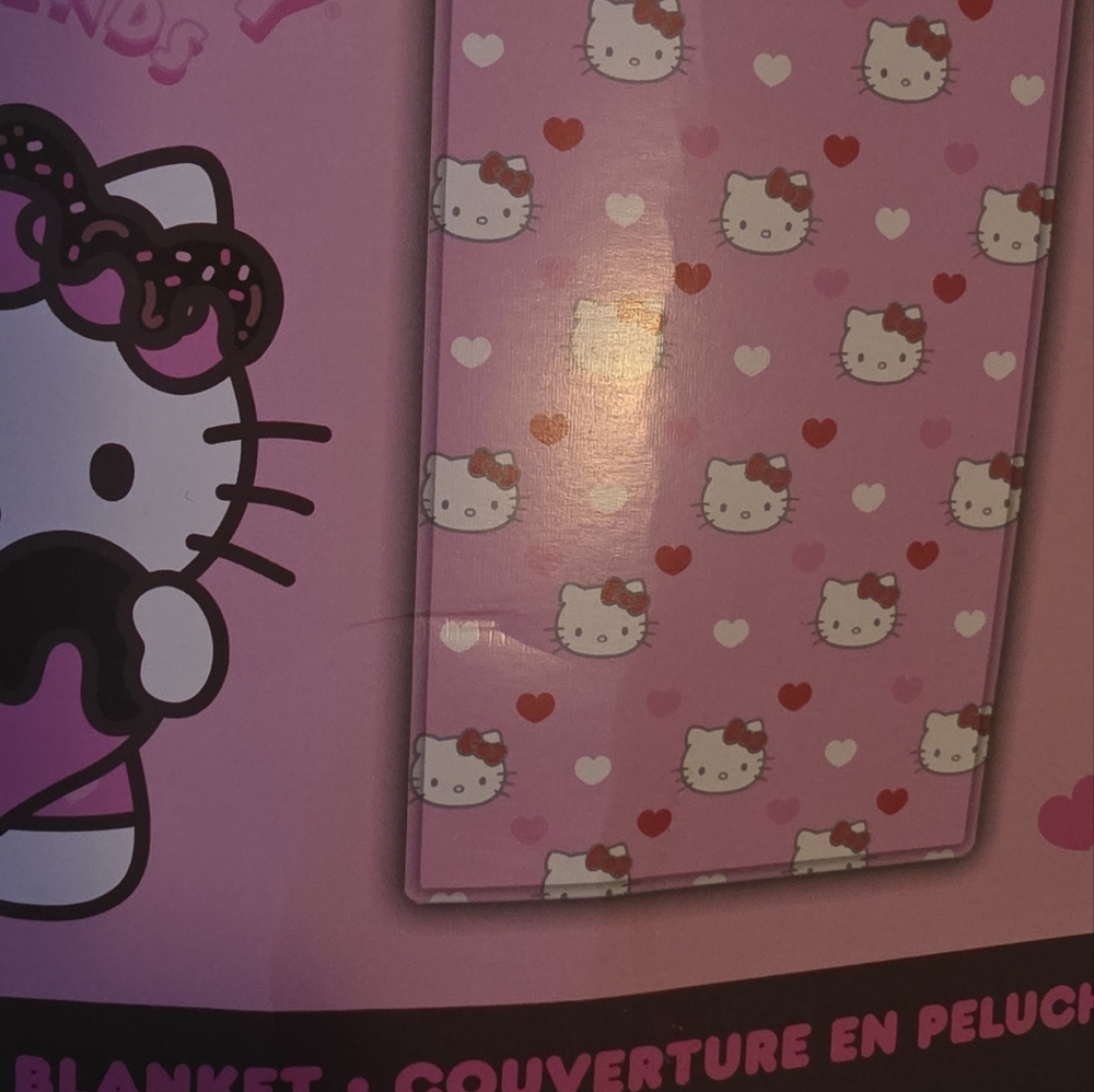 Hello Kitty Pink and White Plush Twin Blanket Bought In USA